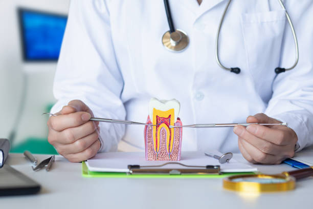 Best Knocked-Out Tooth Emergency  in Shady Shores, TX